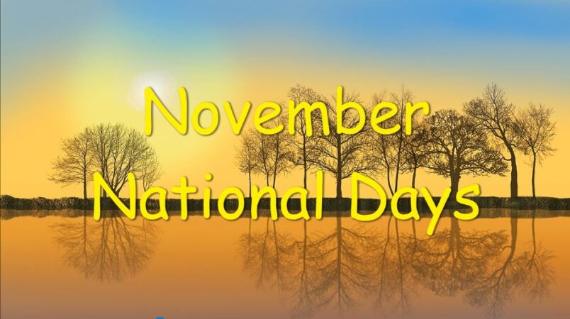 what-are-the-national-days-in-november-discoverycentre